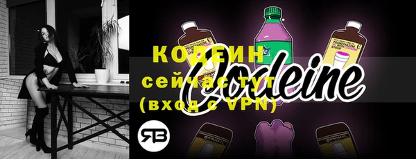 индика Бугульма