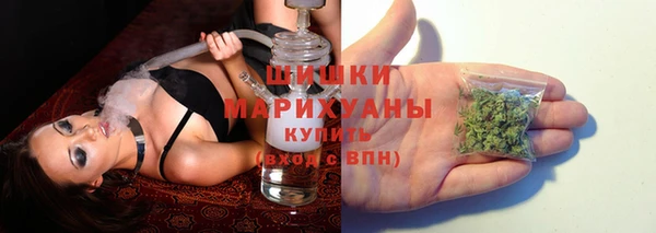 индика Бугульма