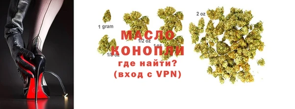 индика Бугульма