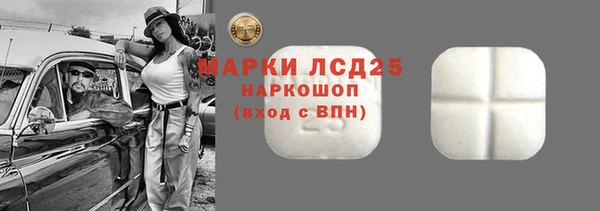 индика Бугульма