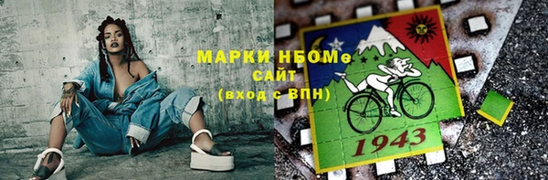 индика Бугульма