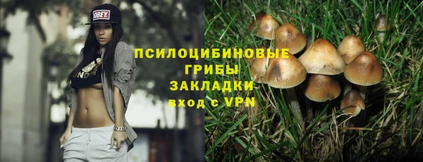 ALPHA PVP Бородино