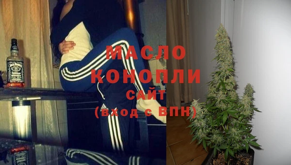 индика Бугульма