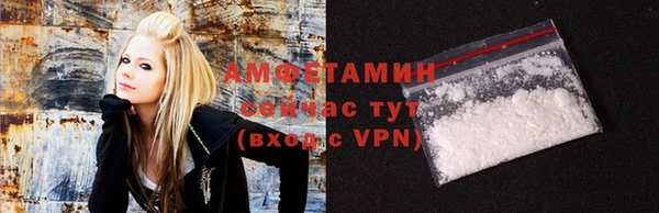 индика Бугульма