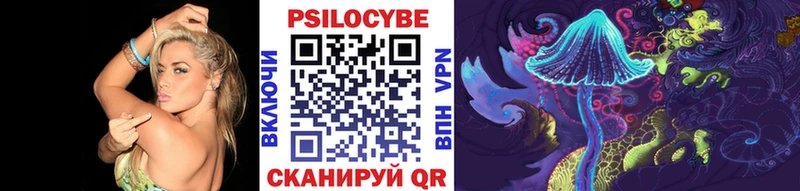 Купить  Пересвет  Псилоцибиновые грибы прущие грибы 