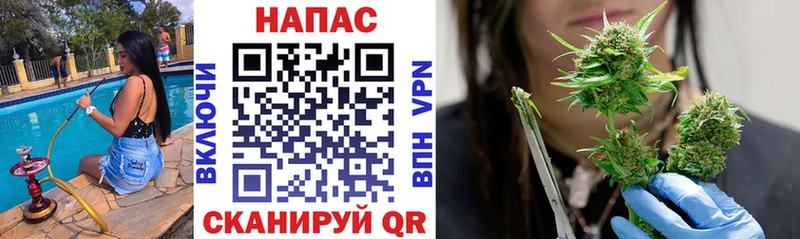Купить  Пересвет  Бошки марихуана сатива 